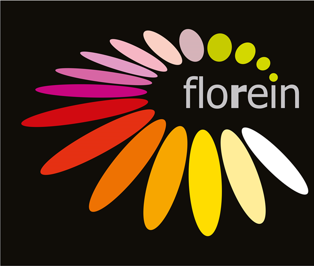 Florein Gerbera